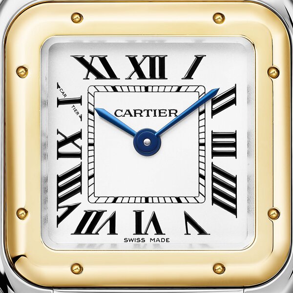 Cartier Panthere de Cartier Medium Model W2PN0018 Cartier Panthere de Cartier Medium Model W2PN0018