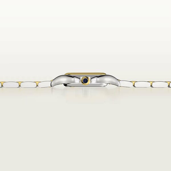 Cartier Panthere de Cartier Medium Model W2PN0018 Cartier Panthere de Cartier Medium Model W2PN0018