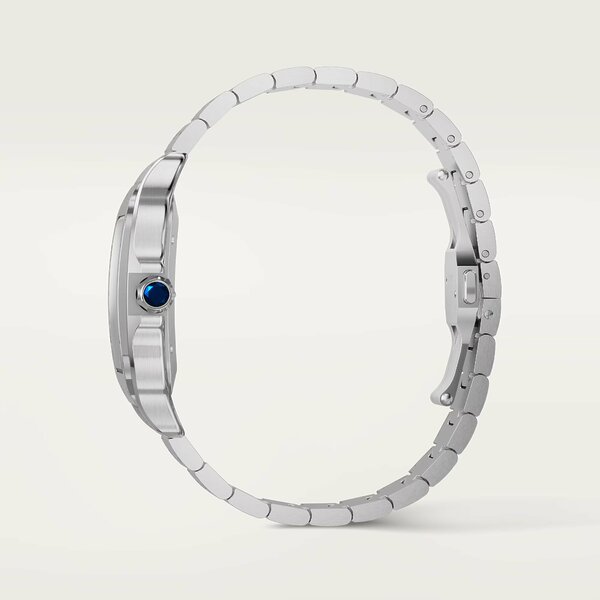 Cartier Santos de Cartier Large Model WSSA0062